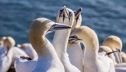 爱游戏全站注册-青训成功经验在多地推广，地方青训体系不断优化升级，青训训练